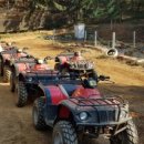 용인대통일태권도 이미지