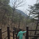 장령산자연휴양림 | 장령산 자연휴양림 솔직 후기/대전 근교 아이와 함께 힐링 숲나들이/숲속동굴, 주차, 정보