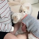 w-36 | 만삭 임산부 일상 : 만삭 촬영 다음날 출산한 썰 푼다 📸