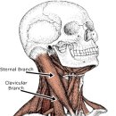 바디플랜 이미지