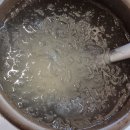 장덕리은행나무 | 주문진 맛집 삼교리 원조 동치미 막국수 물막국수, 회막국수 솔직후기+장덕리 은행나무