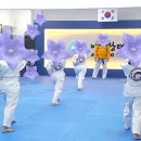 성실 태권도 이미지