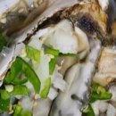 함양흑염소 이미지