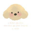 월피동 롯데리아 앞 | 안산 월피동 레터링케이크 가게 오로라케익하우스:: 귀여운데 맛있기까지 한 신상 케이크집 방문기