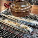 장어시대 이미지