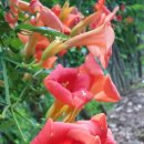 원당리농장 이미지