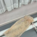 장미 가득한 슈즈 파우치 카치오페페 로제로사 발레슈즈 파우치 구매 후기