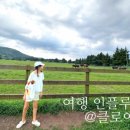 이시돌영농조합법인 이미지