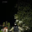 동신코오롱쌀마트 | 2023 자린고비 유럽여행기 - 그린델발트 1편