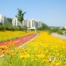 낙동강변26 이미지