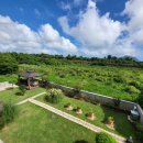 플랜트101 이미지