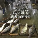 대구유통 이미지