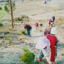 (주)늘푸른자원 이미지