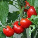 건강을주는안마원 이미지