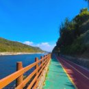 국토종주자전거길1-41 이미지