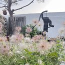 울진조경 이미지