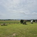 흔들목장 이미지