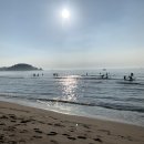 송정 미연 네이버블로그