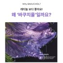 우아연어 | [50대 피부관리] 시니어 모델의 우아한 홈 케어 루틴, 세로 모공 꽉 잡는 슬리슬리 PDRN 바쿠치올 세럼...