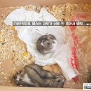 한국에듀벅스 이미지