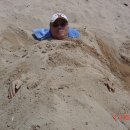 에덴동산 이미지