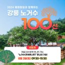 2024년 08월 03일 727회차 바우길 주말 다 함께 걷기 [계곡바우길 / 노거수100선] 이미지