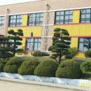 용봉초등학교 이미지