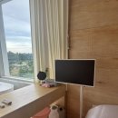 정동진호텔 이미지