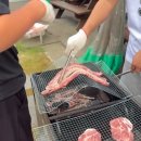 삼척강원타이어 | 고고다이브와 함께 한 삼척 플로빙 1박 2일 여행