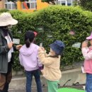 대명초등학교병설유치원 이미지