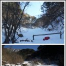 무원농장 이미지