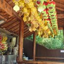 맥반석골가든 이미지