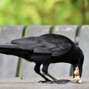 한려대길 이미지