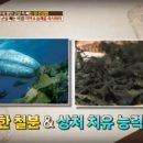 진도건어물 이미지