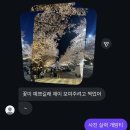 멍멍아 야옹해봐 | 사랑에 답함