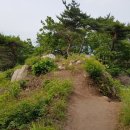 달오선원 네이버블로그