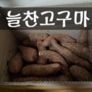 못난이PC 이미지