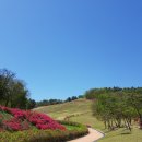 입점리고분전시관 이미지