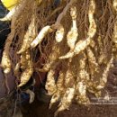 형만농장 이미지