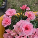 비욘드잉글리쉬어학원 이미지