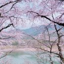 밀양캠핑장 이미지