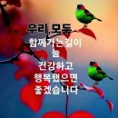 정성의료기 Daum카페