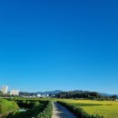 만승농장 이미지