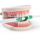 서울닥터호치과교정과치과의원 이미지