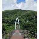 &#39;25년10월 29일(수) 괴산산막이길, 출렁다리, 문광저수지 은행나무 단풍길 트레킹 모임 이미지