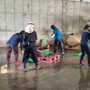 고성인력