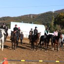 서서울승마클럽 이미지