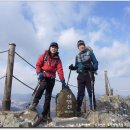 하대동295 이미지