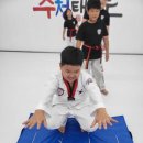 경희대수청태권도