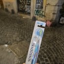 D00019 | [2주 스페인/로마 자유여행 #6] 로마 여행 (이탈리아 로마로! 티볼리 가기, 호텔에 짐 맡겼다 털린 사연🤬)